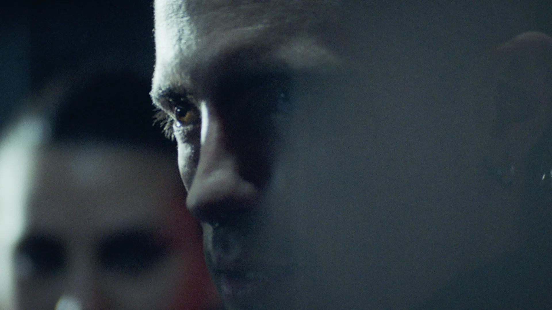 Image 4 of la-ropa-que-habitamos