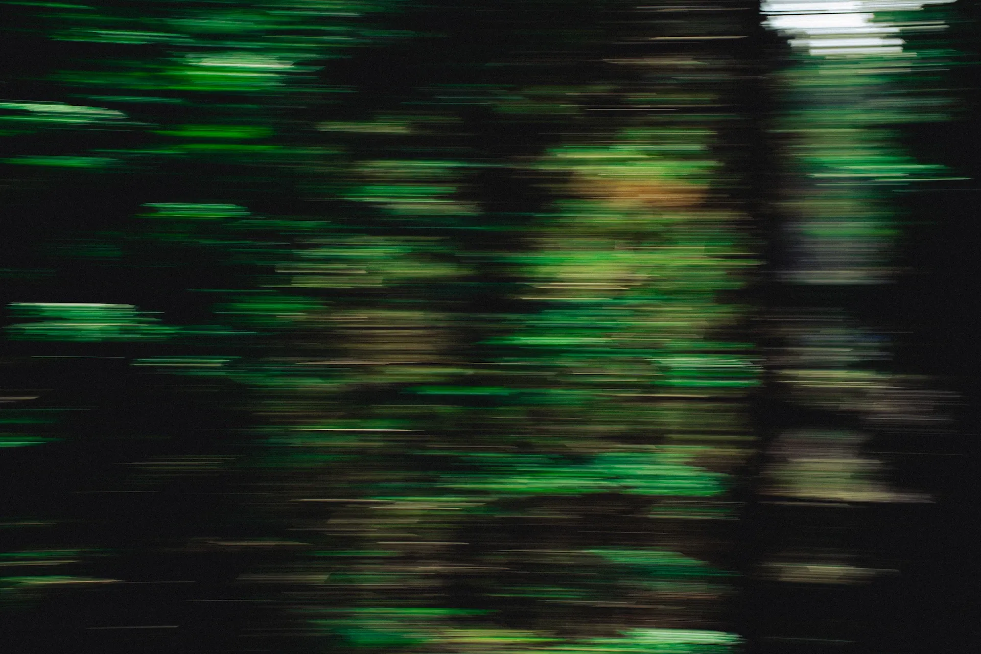 Image 7 of still-photography