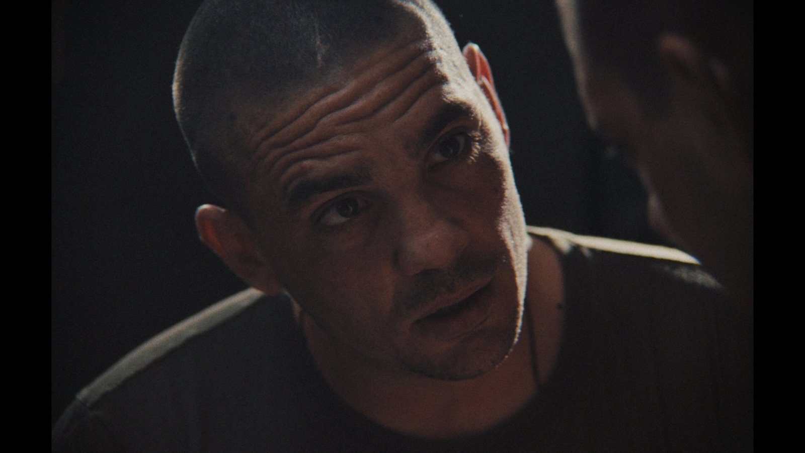 Camaleón still 7