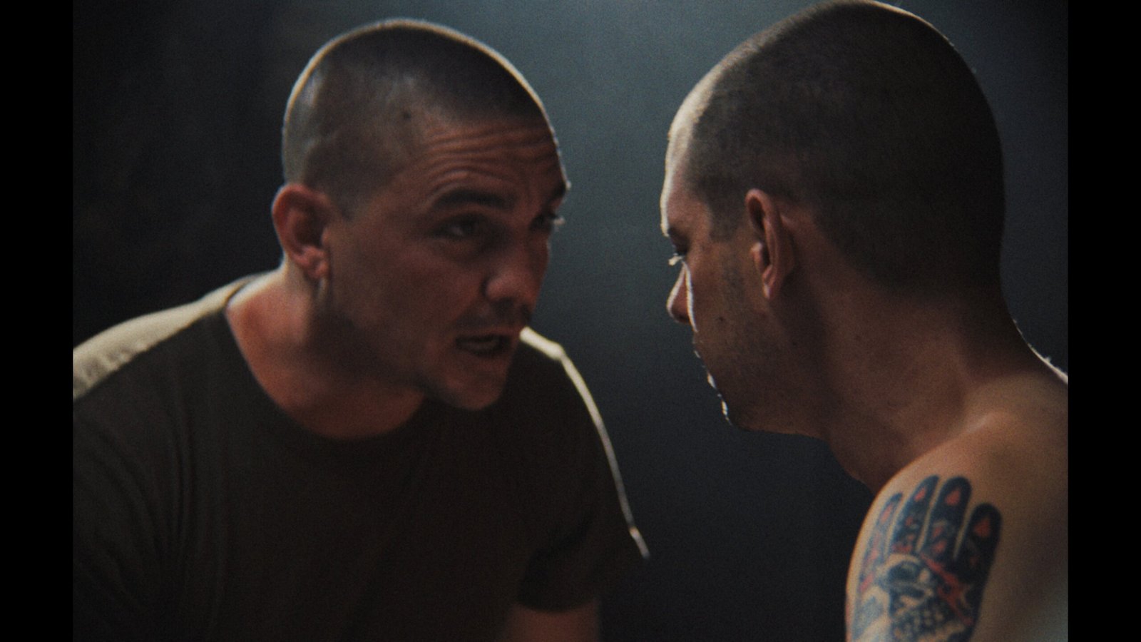 Camaleón still 8